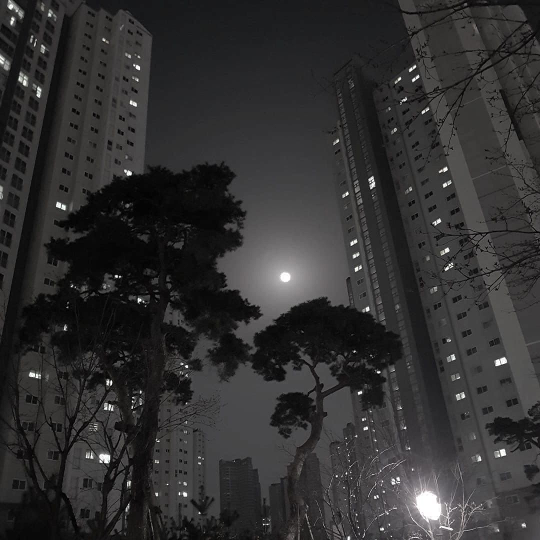 a bright moon between tall apartment towers and silhouettes of trees