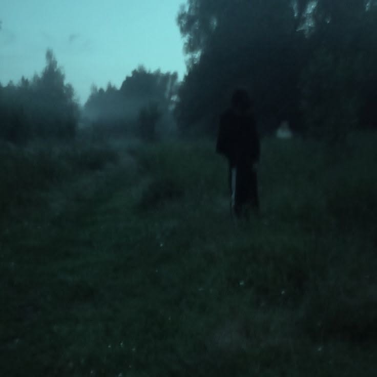 shadowy figure standing in a misty dark field among tall trees